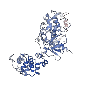 33312_7xn6_B_v1-1
Cryo-EM structure of CopC-CaM-caspase-3 with ADPR-deacylization