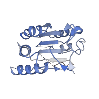 33312_7xn6_C_v1-1
Cryo-EM structure of CopC-CaM-caspase-3 with ADPR-deacylization