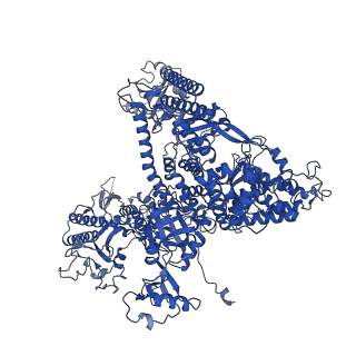 33313_7xn7_A_v1-2
RNA polymerase II elongation complex containing Spt4/5, Elf1, Spt6, Spn1 and Paf1C