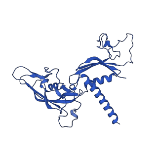 33313_7xn7_C_v1-2
RNA polymerase II elongation complex containing Spt4/5, Elf1, Spt6, Spn1 and Paf1C