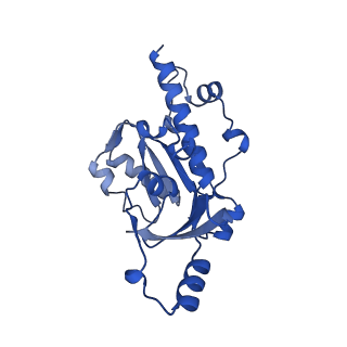 33313_7xn7_E_v1-2
RNA polymerase II elongation complex containing Spt4/5, Elf1, Spt6, Spn1 and Paf1C