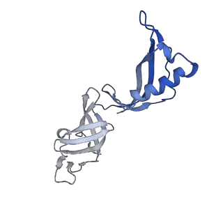 33313_7xn7_G_v1-2
RNA polymerase II elongation complex containing Spt4/5, Elf1, Spt6, Spn1 and Paf1C