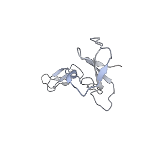 33313_7xn7_I_v1-2
RNA polymerase II elongation complex containing Spt4/5, Elf1, Spt6, Spn1 and Paf1C