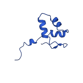 33313_7xn7_J_v1-2
RNA polymerase II elongation complex containing Spt4/5, Elf1, Spt6, Spn1 and Paf1C