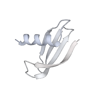 33313_7xn7_M_v1-2
RNA polymerase II elongation complex containing Spt4/5, Elf1, Spt6, Spn1 and Paf1C
