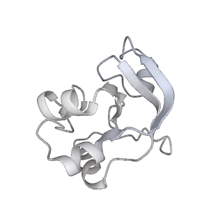 33313_7xn7_V_v1-2
RNA polymerase II elongation complex containing Spt4/5, Elf1, Spt6, Spn1 and Paf1C