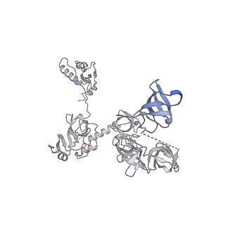 33313_7xn7_W_v1-2
RNA polymerase II elongation complex containing Spt4/5, Elf1, Spt6, Spn1 and Paf1C