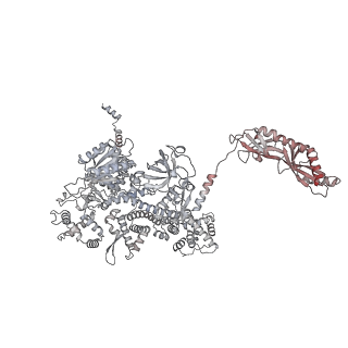 33313_7xn7_m_v1-2
RNA polymerase II elongation complex containing Spt4/5, Elf1, Spt6, Spn1 and Paf1C