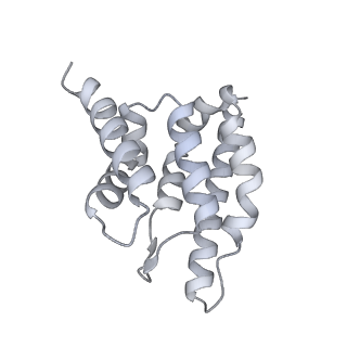 33313_7xn7_n_v1-2
RNA polymerase II elongation complex containing Spt4/5, Elf1, Spt6, Spn1 and Paf1C