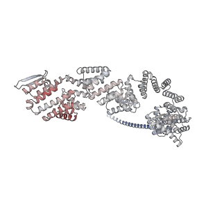 33313_7xn7_q_v1-2
RNA polymerase II elongation complex containing Spt4/5, Elf1, Spt6, Spn1 and Paf1C