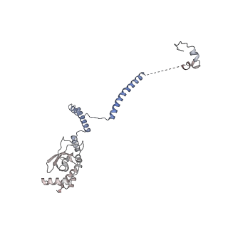 33313_7xn7_r_v1-2
RNA polymerase II elongation complex containing Spt4/5, Elf1, Spt6, Spn1 and Paf1C