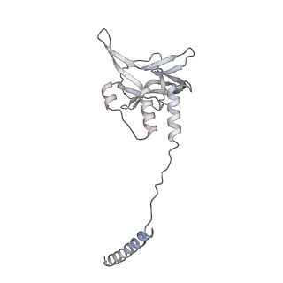 33313_7xn7_u_v1-2
RNA polymerase II elongation complex containing Spt4/5, Elf1, Spt6, Spn1 and Paf1C