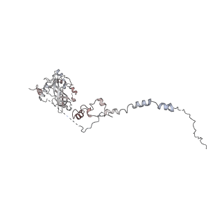 33313_7xn7_v_v1-2
RNA polymerase II elongation complex containing Spt4/5, Elf1, Spt6, Spn1 and Paf1C