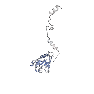 33313_7xn7_x_v1-2
RNA polymerase II elongation complex containing Spt4/5, Elf1, Spt6, Spn1 and Paf1C