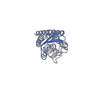 33315_7xnh_B_v1-0
Human Cx36/GJD2 gap junction channel with pore-lining N-terminal helices in soybean lipids