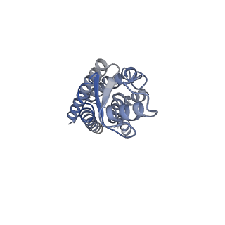 33315_7xnh_C_v1-0
Human Cx36/GJD2 gap junction channel with pore-lining N-terminal helices in soybean lipids