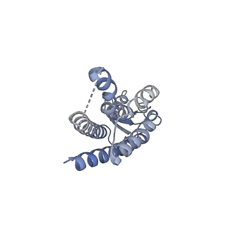 33315_7xnh_H_v1-0
Human Cx36/GJD2 gap junction channel with pore-lining N-terminal helices in soybean lipids