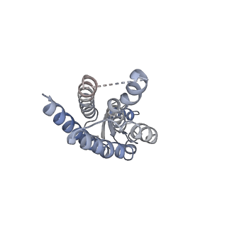33315_7xnh_I_v1-0
Human Cx36/GJD2 gap junction channel with pore-lining N-terminal helices in soybean lipids