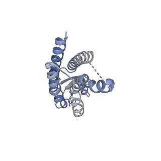 33315_7xnh_J_v1-0
Human Cx36/GJD2 gap junction channel with pore-lining N-terminal helices in soybean lipids