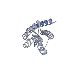 33315_7xnh_K_v1-0
Human Cx36/GJD2 gap junction channel with pore-lining N-terminal helices in soybean lipids