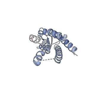 33315_7xnh_L_v1-0
Human Cx36/GJD2 gap junction channel with pore-lining N-terminal helices in soybean lipids