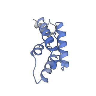 33321_7xno_B_v1-4
Cryo-EM structure of the bacteriocin-receptor-immunity ternary complex from Lactobacillus sakei