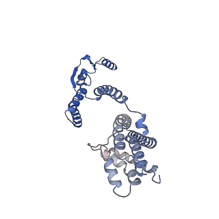 33321_7xno_E_v1-4
Cryo-EM structure of the bacteriocin-receptor-immunity ternary complex from Lactobacillus sakei