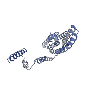 33321_7xno_H_v1-4
Cryo-EM structure of the bacteriocin-receptor-immunity ternary complex from Lactobacillus sakei