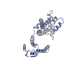 33321_7xno_I_v1-4
Cryo-EM structure of the bacteriocin-receptor-immunity ternary complex from Lactobacillus sakei