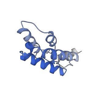 33321_7xno_J_v1-4
Cryo-EM structure of the bacteriocin-receptor-immunity ternary complex from Lactobacillus sakei