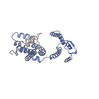 33321_7xno_Z_v1-4
Cryo-EM structure of the bacteriocin-receptor-immunity ternary complex from Lactobacillus sakei