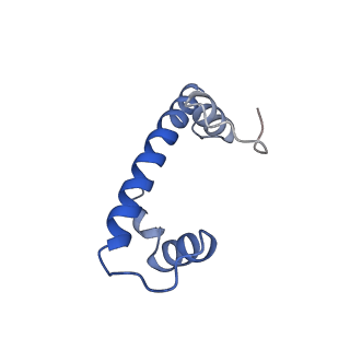 33322_7xnp_B_v1-1
Structure of nucleosome-AAG complex (A-55I, post-catalytic state)