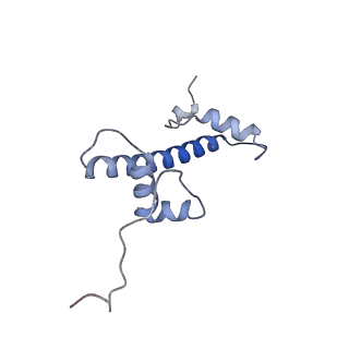 33322_7xnp_C_v1-1
Structure of nucleosome-AAG complex (A-55I, post-catalytic state)