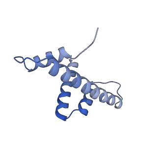 33322_7xnp_D_v1-1
Structure of nucleosome-AAG complex (A-55I, post-catalytic state)
