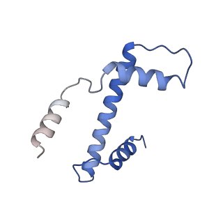 33322_7xnp_E_v1-1
Structure of nucleosome-AAG complex (A-55I, post-catalytic state)