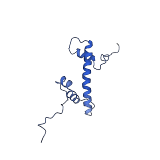 33322_7xnp_G_v1-1
Structure of nucleosome-AAG complex (A-55I, post-catalytic state)