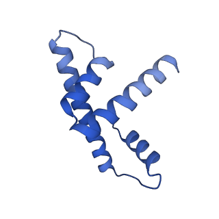 33322_7xnp_H_v1-1
Structure of nucleosome-AAG complex (A-55I, post-catalytic state)