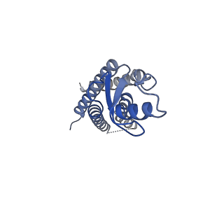 33327_7xnv_E_v1-0
Structurally hetero-junctional human Cx36/GJD2 gap junction channel in soybean lipids (C6 symmetry)