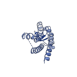 33327_7xnv_G_v1-0
Structurally hetero-junctional human Cx36/GJD2 gap junction channel in soybean lipids (C6 symmetry)