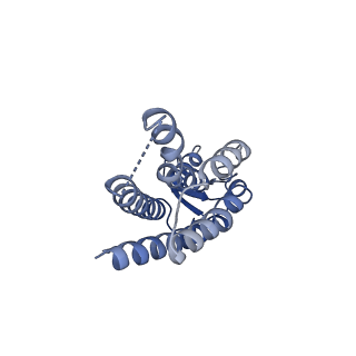 33327_7xnv_H_v1-0
Structurally hetero-junctional human Cx36/GJD2 gap junction channel in soybean lipids (C6 symmetry)