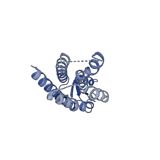 33327_7xnv_I_v1-0
Structurally hetero-junctional human Cx36/GJD2 gap junction channel in soybean lipids (C6 symmetry)
