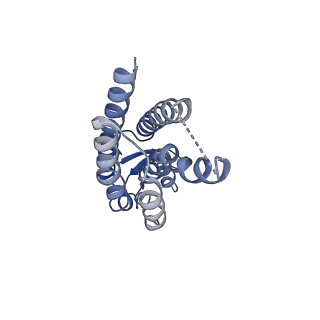 33327_7xnv_J_v1-0
Structurally hetero-junctional human Cx36/GJD2 gap junction channel in soybean lipids (C6 symmetry)
