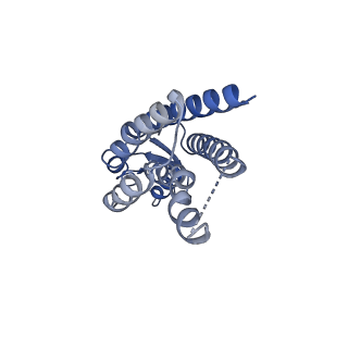 33327_7xnv_K_v1-0
Structurally hetero-junctional human Cx36/GJD2 gap junction channel in soybean lipids (C6 symmetry)