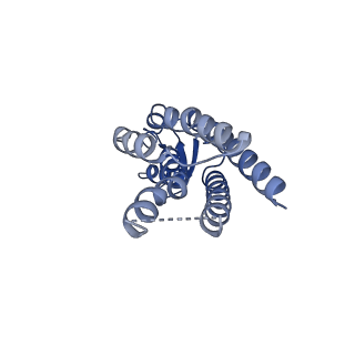 33327_7xnv_L_v1-0
Structurally hetero-junctional human Cx36/GJD2 gap junction channel in soybean lipids (C6 symmetry)