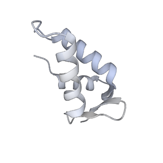 33329_7xnx_CE_v1-0
High resolution cry-EM structure of the human 80S ribosome from SNORD127+/+ Kasumi-1 cells