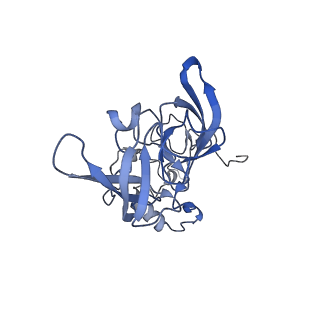 33329_7xnx_LA_v1-0
High resolution cry-EM structure of the human 80S ribosome from SNORD127+/+ Kasumi-1 cells