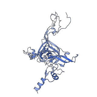 33329_7xnx_LB_v1-0
High resolution cry-EM structure of the human 80S ribosome from SNORD127+/+ Kasumi-1 cells
