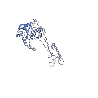 33329_7xnx_LC_v1-0
High resolution cry-EM structure of the human 80S ribosome from SNORD127+/+ Kasumi-1 cells
