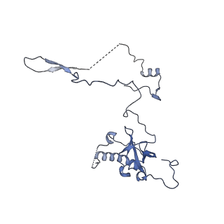 33329_7xnx_LE_v1-0
High resolution cry-EM structure of the human 80S ribosome from SNORD127+/+ Kasumi-1 cells