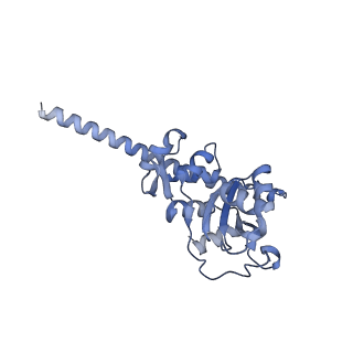 33329_7xnx_LF_v1-0
High resolution cry-EM structure of the human 80S ribosome from SNORD127+/+ Kasumi-1 cells